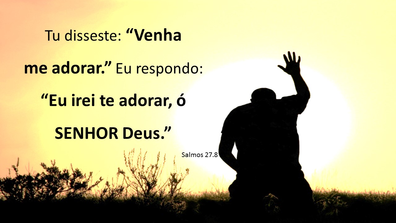 O Senhor é meu Pastor – Devocional Videira